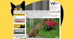 Desktop Screenshot of koteria.org.pl
